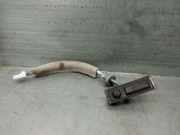 Handgriff Kofferraum 253806PA1A Nissan Juke (F16) SUV 1.0 DIG-T 117 12V (HRA0)