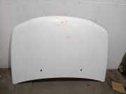 Motorhaube 5730065811 Suzuki Grand Vitara II (JT) SUV 1.9 DDiS (F9Q)