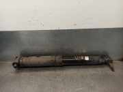 Stoßdämpfer Rechts Hinten 423093JP Renault MEGANE II BERLINA 3P 1.9 dCi Diesel