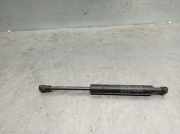 Gasdruckfeder Set Vorne 30674708 Volvo XC70 (SZ) SUV XC70 2.4 D5 20V (D5244T4)