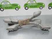 Türgriff Innen Rechts Vorne Citroën CITROËN C3 1.4 HDi