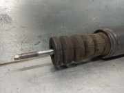 Stoßdämpfer Rechts Hinten 8200556691 Renault CLIO III 1.4 16V