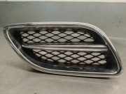 Grill 623109F525 Nissan PRIMERA BERLINA (P11) 2.0 Turbodiesel CAT