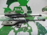 Gasdruckfeder Set Vorne C2S1927 Jaguar X-type Limousine 2.2 D 16V (QJBA)
