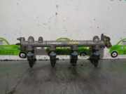 Einspritzdüsen Düsenstock 9250930006 Peugeot 206 SW (2E/K) Kombi 2.0 HDi (DW10TD(RHY))