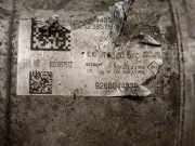 Stoßdämpfer Rechts Vorne 4797643 Chrysler Voyager/Grand Voyager Großraumlimousine 3.8 i V6 4x4 (EGH)