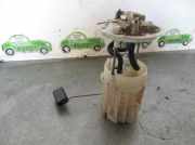 Tankschwimmer Renault II (BG0) Luxe Privilege