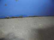 Schiebetür Links A6387300203 Mercedes-Benz V (638.2) Bus V-230 2.3 TD (OM601.970)