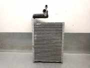 Klima Verdampfer 64119378108 BMW 5 serie (G30) Limousine 520d 2.0 TwinPower Turbo 16V (B47-D20A)