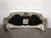 Motorhaube 51783709 Fiat 500 (312) Schr?gheck 1.3 MJTD 16V (169.A.1000)