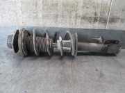 Stoßdämpfer Links Hinten 96454549 Daewoo / Chevrolet CHEVROLET WAGON 2.0 Diesel CAT