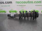 Stoßstange Hinten 1M5807421 Seat Toledo (1M2) Limousine 1.9 TDI 110 (AHF)