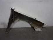 Kotflügel Links Vorne 1L0821021 Seat (1L) 1.9 Diesel CAT (1Y)