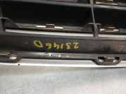 Grill A2208800383 Mercedes-Benz S (W220) Limousine 5.0 S-500 V8 24V (M113.960)