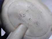 Ausgleichbehälter - 25430N7200 Hyundai Tucson (NX) SUV 1.6 T-GDI (G4FP)