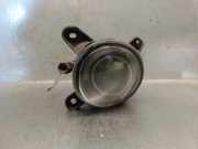 Nebelscheinwerfer Links Vorne 3B7941699A Volkswagen Passat Variant (3B6) Kombi 1.9 TDI 130 (AWX) AWX