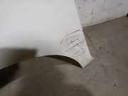 Kotflügel Links Vorne 5JA821021C Skoda Rapid Liftback 1.6 TDI 16V (CAYC)