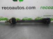 Stoßstange Vorne 6265100QAP Nissan Furgoneta (X76) 1.5 dCi 70