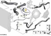 Schlauch 17128598056 BMW X6 (G06) SUV xDrive 40d Mild Hybrid 3.0 24V (B57-D30B)