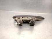 T?rgriff Au?en Links Hinten 806070421R Dacia SANDERO II (B8_) 1.0 SCe 75 (B8JC, B8JD)