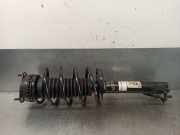StoÃŸdÃ¤mpfer Links Vorne 1329536 Ford Fiesta 5 (JD/JH) SchrÃ¤gheck 1.4 TDCi (F6JB)