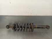 Stoßdämpfer Rechts Hinten 9682474680 Citroën CITROËN III (RD_) 2.0 HDi 140