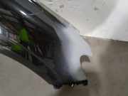 Kotfl?gel Rechts Vorne H4DF480 Dacia Sandero III Schr?gheck 1.0 TCe 90 12V ECO-G (H4D-470(H4D-E4))