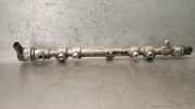 Einspritzdüsen Düsenstock 314002F000 Kia III (SL) 2.0 CRDi