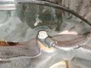 Achsschenkel Halter Rechts Vorne A4473300720 Mercedes-Benz V (447.8) Großraumlimousine 2.0 250d 16V (OM654.920)