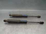 Gasdruckfeder Set Vorne A2218800329 Mercedes-Benz S (W221) Limousine 3.0 S-320 CDI 24V (OM642.930)