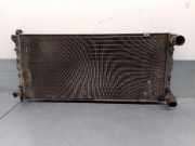 Radiator 1L0121251A Seat Toledo (1L2) Limousine 1.9 D CL,GL,GLX (1Y)