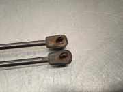 Gasdruckfedern Set Hinten 8R0827552 Audi Q5 (8RB) SUV 2.0 TDI 16V Quattro (CAHA)