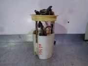 Tankschwimmer F1F19H307AB Ford C-MAX (CEU) 2.0 TDCi CAT