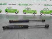 Gasdruckfedern Set Hinten 9658592980 Peugeot (6D_) 2.2 16V (6D3FYH, 6D3FYE)