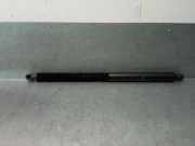 Gasdruckfedern Set Hinten 51247497482 BMW X3 (G01) SUV xDrive 20d 2.0 TwinPower 16V Mild Hybrid (B47-D20B)