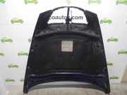 Motorhaube 0060660462 Lancia Thesis (841) Limousine 2.4 20V (841.D.000)