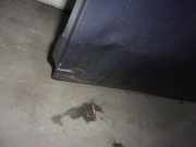 T?r Links Hinten 1692503 Ford Fiesta 6 (JA8) Schr?gheck 1.25 16V (SNJB)