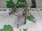 Motorhaubescharnier Renault Megane (BA) Schrägheck 5-drs 1.9dTi (F9Q-744)