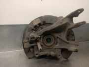 Achsschenkel Halter Rechts Hinten 7L8505436 Audi Q7 (4LB) SUV 3.0 TDI V6 24V (BUG)