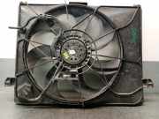 Kühlerventilator 252311F000 Kia Carens III (FG) Großraumlimousine 2.0 CRDI VGT 16V (D4EA)