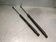 Gasdruckfedern Set Hinten 6M21R406A10CD Ford S-Max (GBW) Gro?raumlimousine 2.0 TDCi 16V 140 (UFWA)