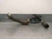 Schlauch 144607476R Renault Megane IV (RFBB) Schrägheck 5-drs 1.2 Energy TCE 130 (H5F-408(H5F-F4))
