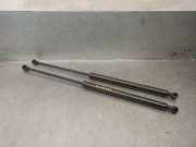 Gasdruckfedern Set Hinten 9631441380 Peugeot 206 (2A/C/H/J/S) Schrägheck 1.4 16V (ET3J4(KFU))