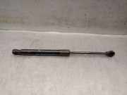 Gasdruckfeder Set Vorne 00521380950 Fiat 500e (332) SchrÃ¤gheck 42 kWh 3+1 (46348460)