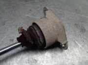 Sto?d?mpfer Rechts Hinten 281700315169 Ford (CBK) 1.4 16V CAT