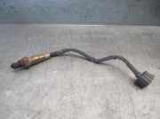 Antenne 4L0035225 Audi Q7 (4LB) SUV 3.0 TDI V6 24V (BUG)