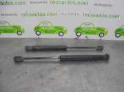 Gasdruckfedern Set Hinten 9656592980 Peugeot 407 (6D) Limousine 2.0 HDiF 16V (DW10BTED4(RHR))