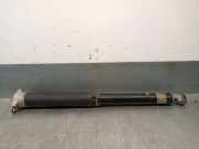 Stoßdämpfer Links Hinten L1TC18080DG Ford Puma SUV 1.0 Ti-VCT EcoBoost mHEV 12V (B7JB)