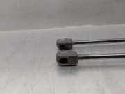 Gasdruckfeder Set Vorne 4G8823359A Audi A6 (C7) Limousine 3.0 TDI V6 24V (CLAB)