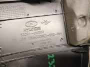 T?rverkleidung Rechts Hinten 833212W000 Hyundai Santa Fe III (DM) SUV 2.2 CRDi R 16V 4x2 (D4HB)